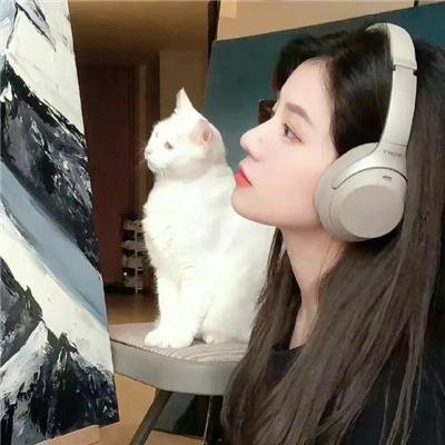 寓所谜案